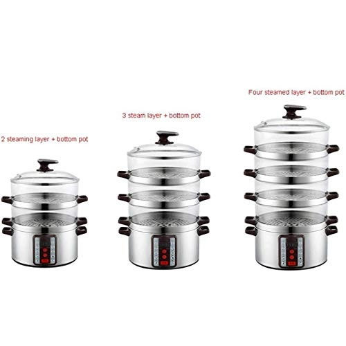 Electric Steamer - 3