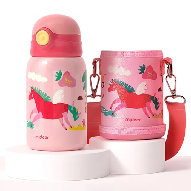 Vacuum Insulated Bottle - 450 ml