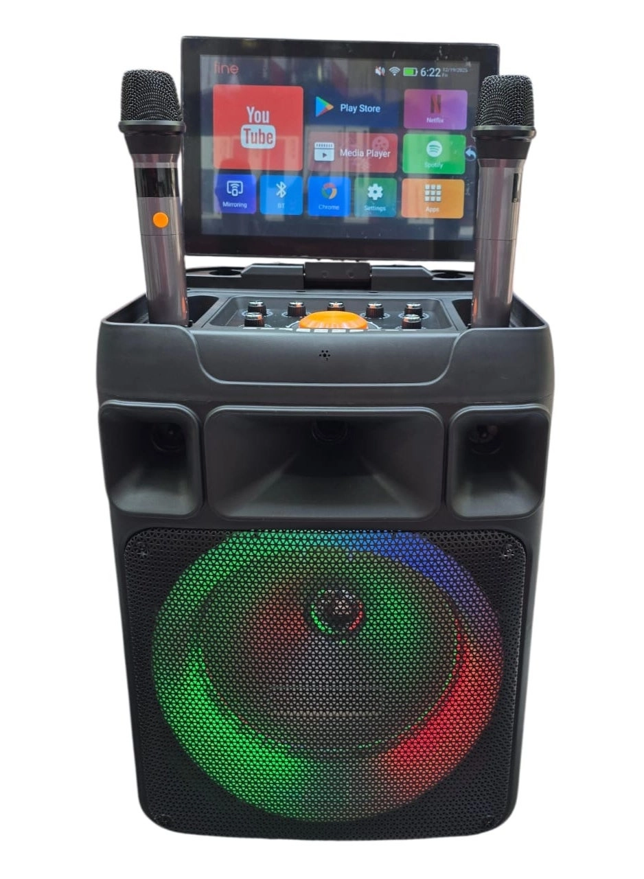 RAYMOS SA-1207 - Dual Wireless Microphones