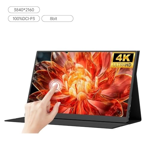 Portable Monitor - FHD 17.3-inch