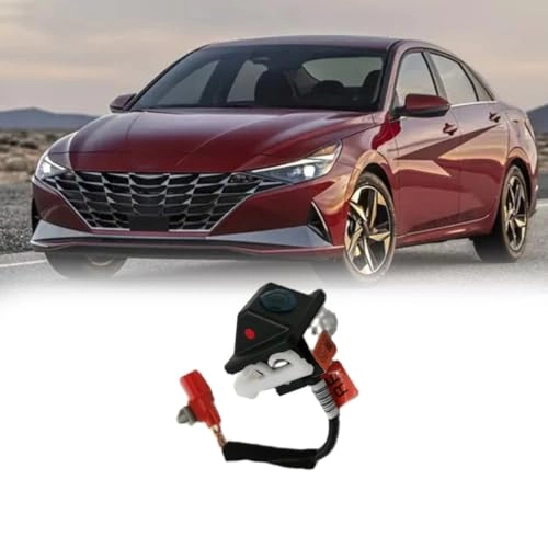 Reversing Camera - 95750-3X430 957503X430