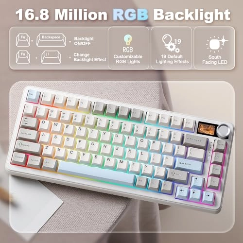 B75 PRO MAX - Wired/Wireless