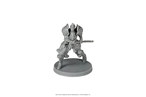 Dark Souls RPG Minis - Captains & Warriors