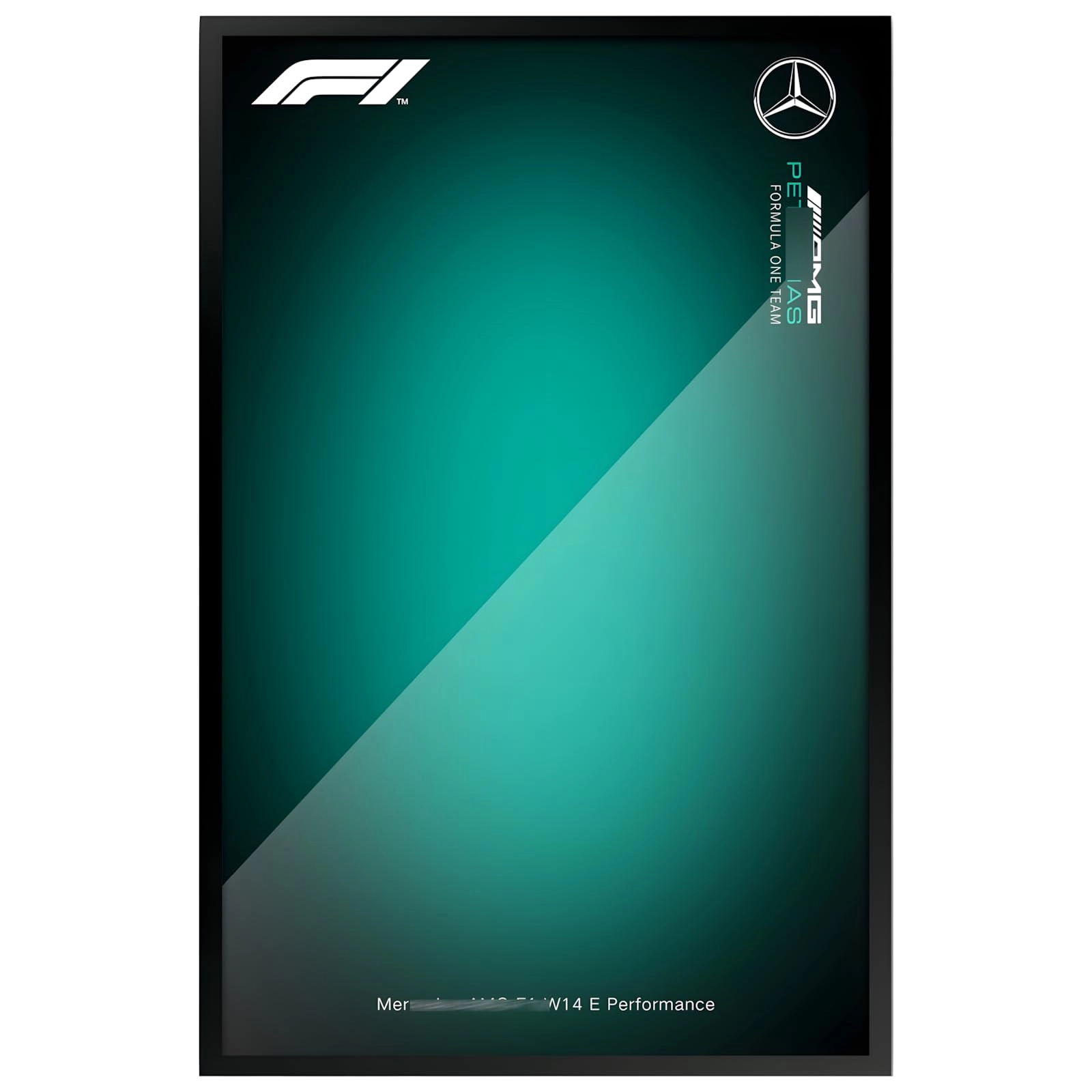 Display Wallboard Wall Mount for LEGO 42171 - 50X80cm