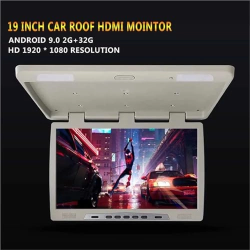 Roofmount LCD Monitor - 19in