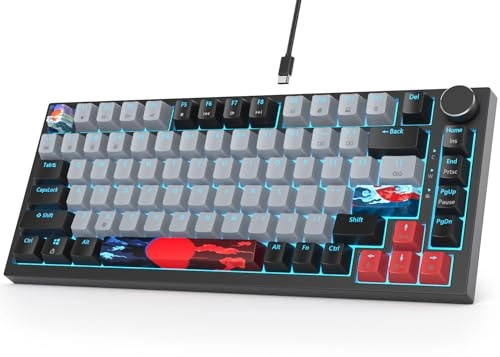 75% Mechanical Keyboard - Wired