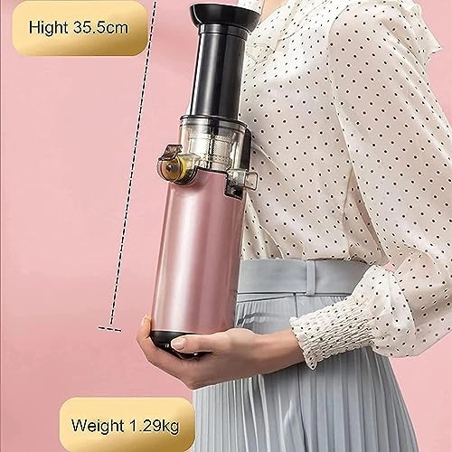 masticating juicer - 120W