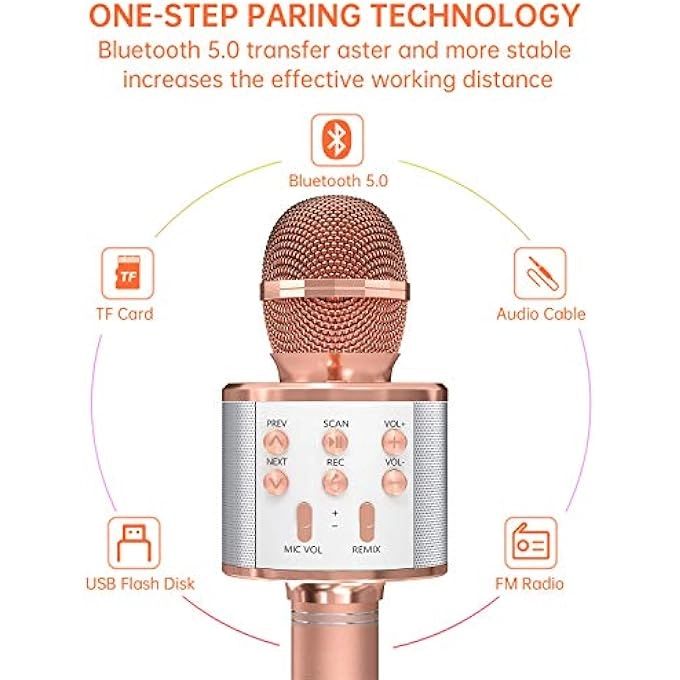 rayihni Karaoke Microphone Pack