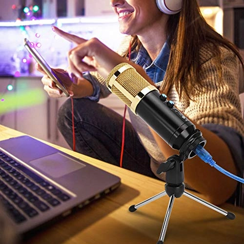 Ripod MIC Wired Microphone