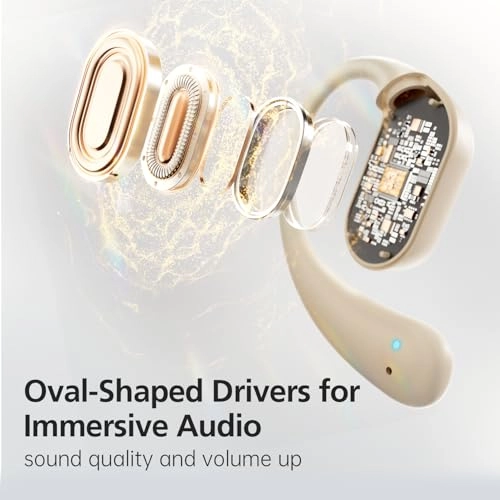 B19 Wireless Earbud
