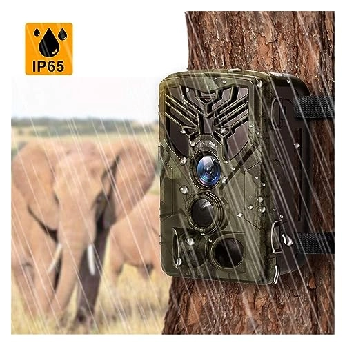 Wildlife Hunting Camera - 5MP