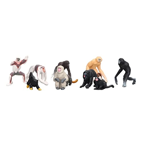 Primate Animal Model Set - 10 pieces