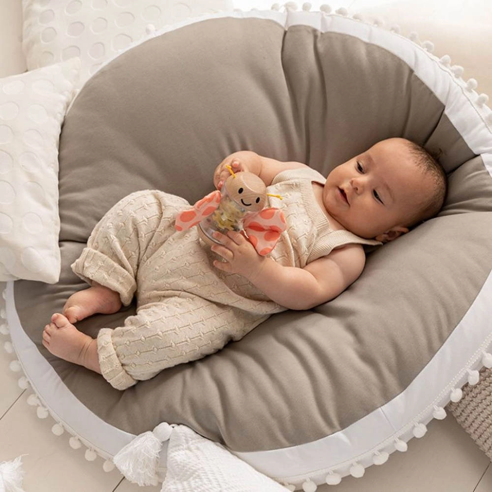 Butterfly Rainmaker Robert - Suitable for 0 months & above