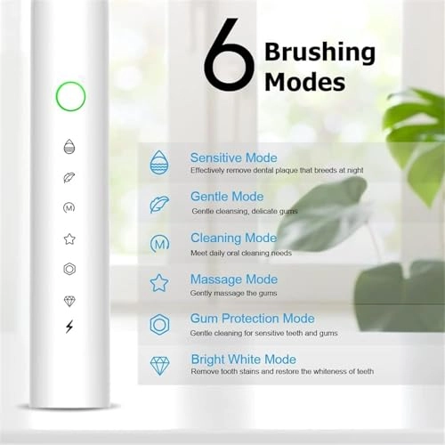 Sonic Electric Toothbrush - 6 Cleaning Modes IPX7 8 Brush Heads