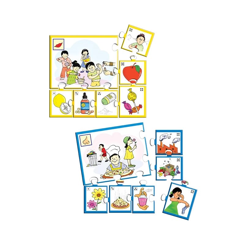 Our Five Senses - 60.00 months 1 Count pieces