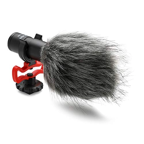 NPFZ100 - 2,280mAh + Condenser Microphone