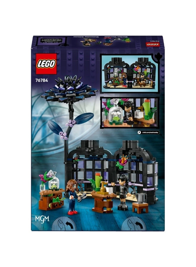 Wednesday Black Dahlia Flower