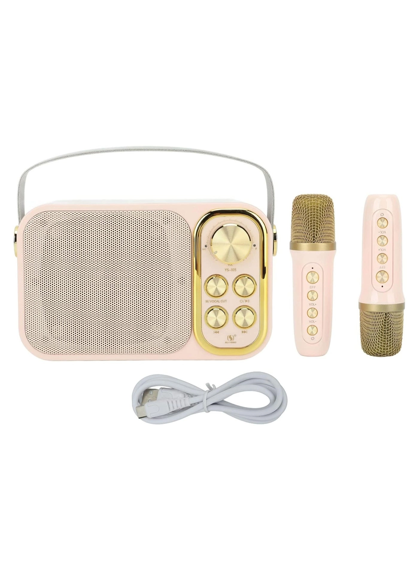 Outdoor Party Vocal Machine - 2 microphones