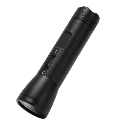 Flashlight Video Camera