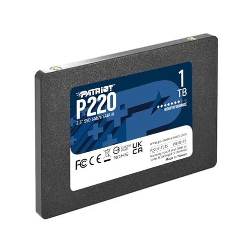 P220 - 1 TB 2.5-inch