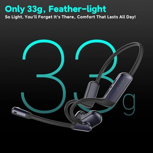 P200b Wireless Headset