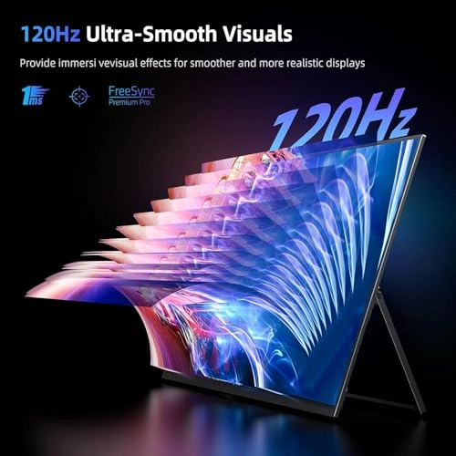 Portable Monitor - 1080P 18.5 Inch