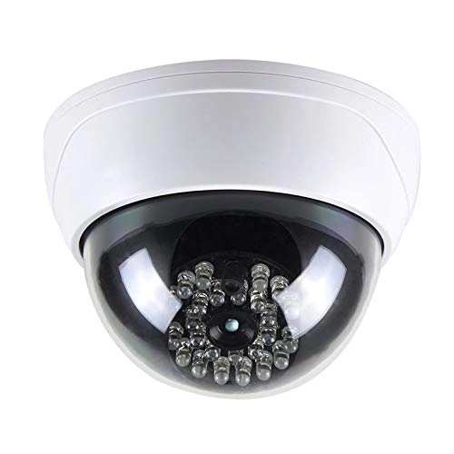 Dummy Camera - Outdoor