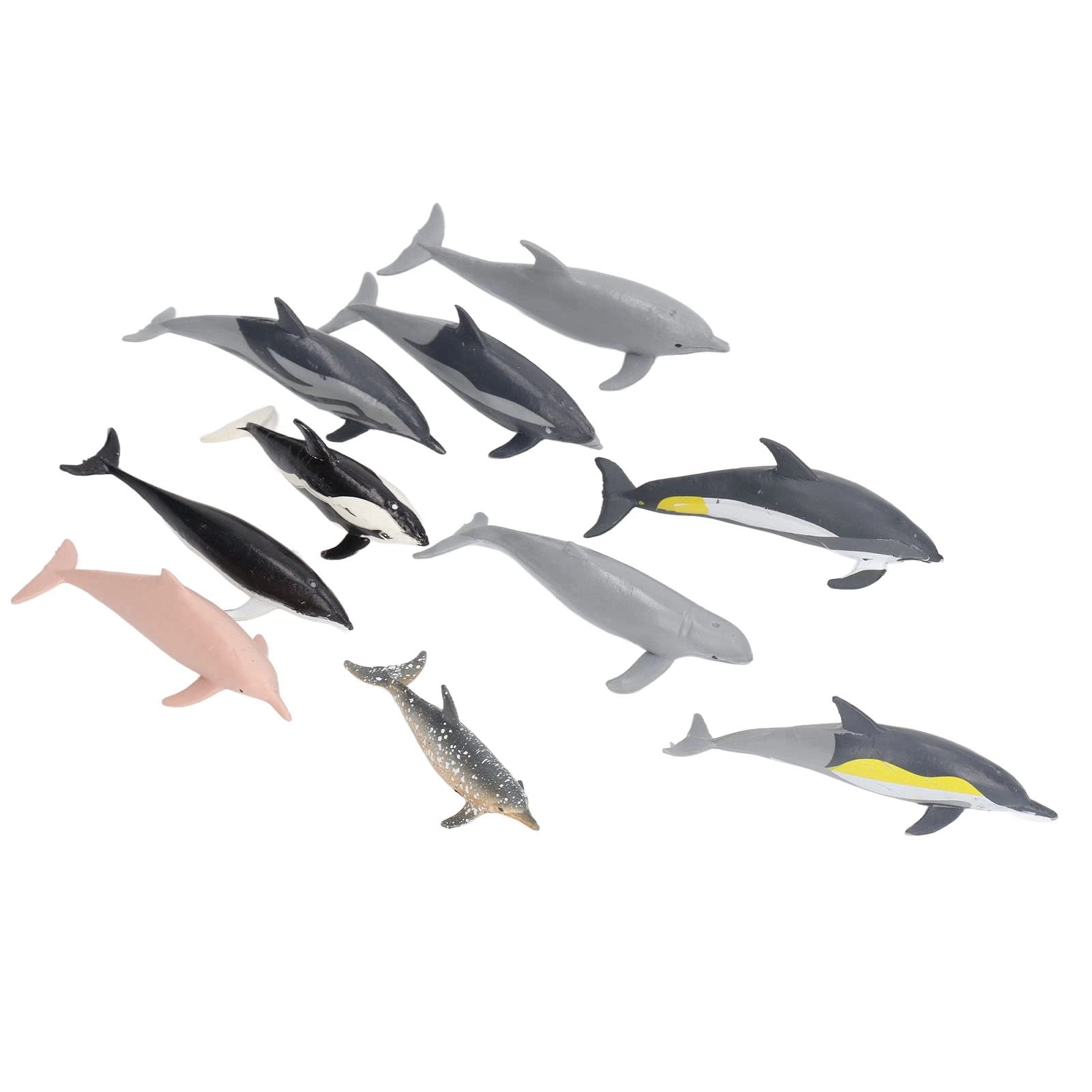 Alomejor Dolphin Model Toy Science - 4 years and up 10 pieces