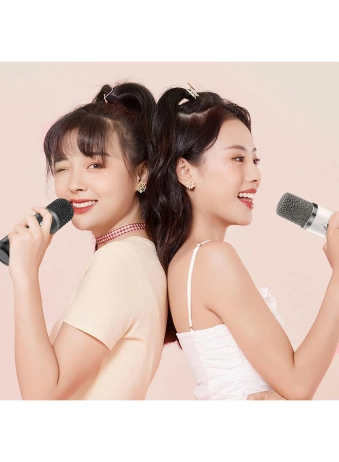 219 Bluetooth Karaoke Speaker System - 2