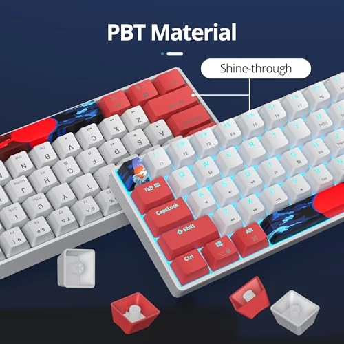 GS61 RGB-61 - US Wired