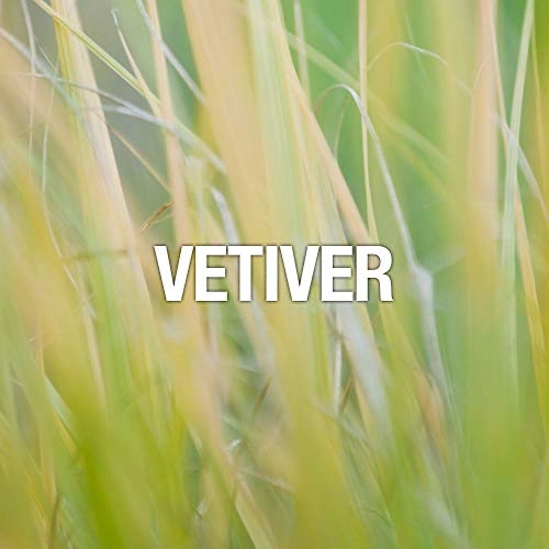 Chill - 125 Milliliters