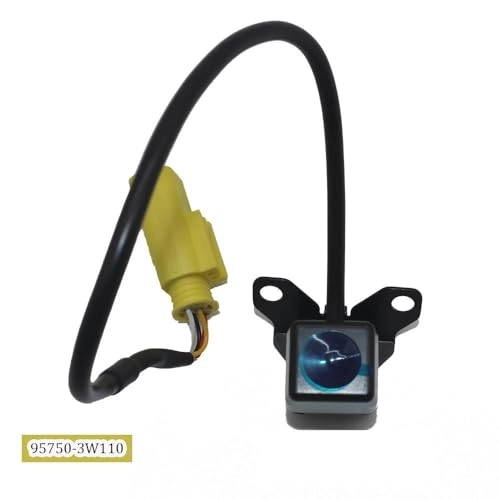 Reversing Camera - Night Vision