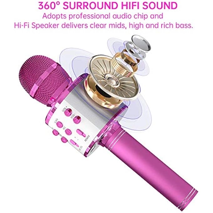 rayihni Karaoke Microphone Pack
