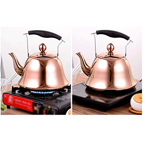 Stovetop Induction Whistling Kettle - 5L