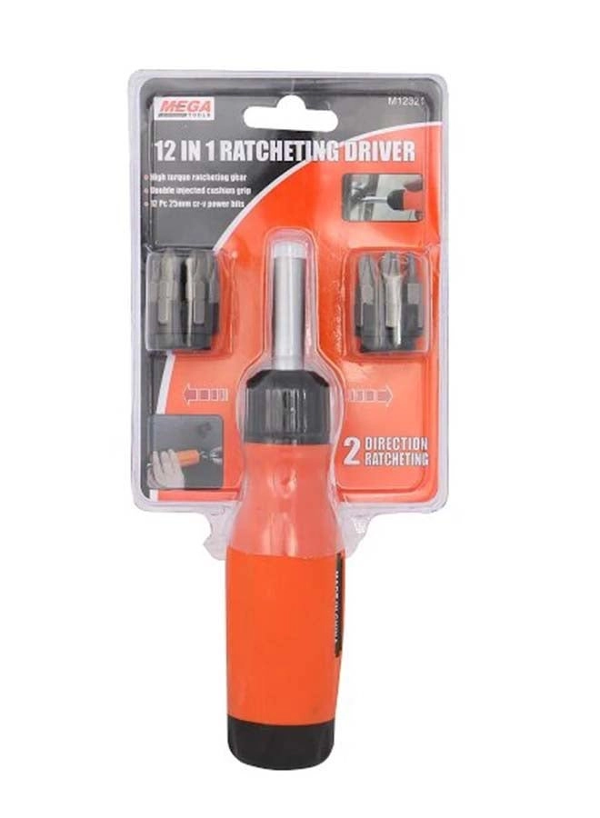 12 IN 1 RATCHETING DRIVER Multi-Bit Screwdriver