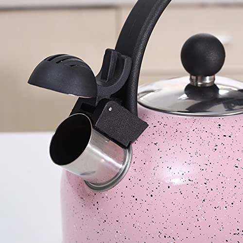 Stainless Steel Kettle - 2.5L