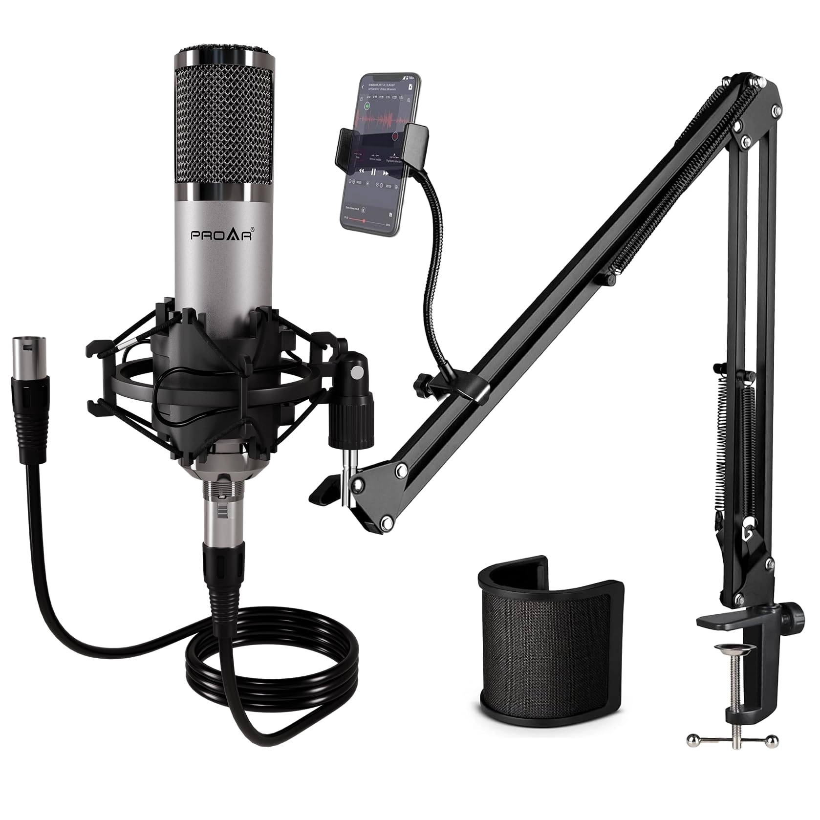 Condenser Microphone XLR Microphone