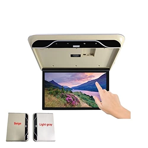 Car Ceiling Display - 19 Inch