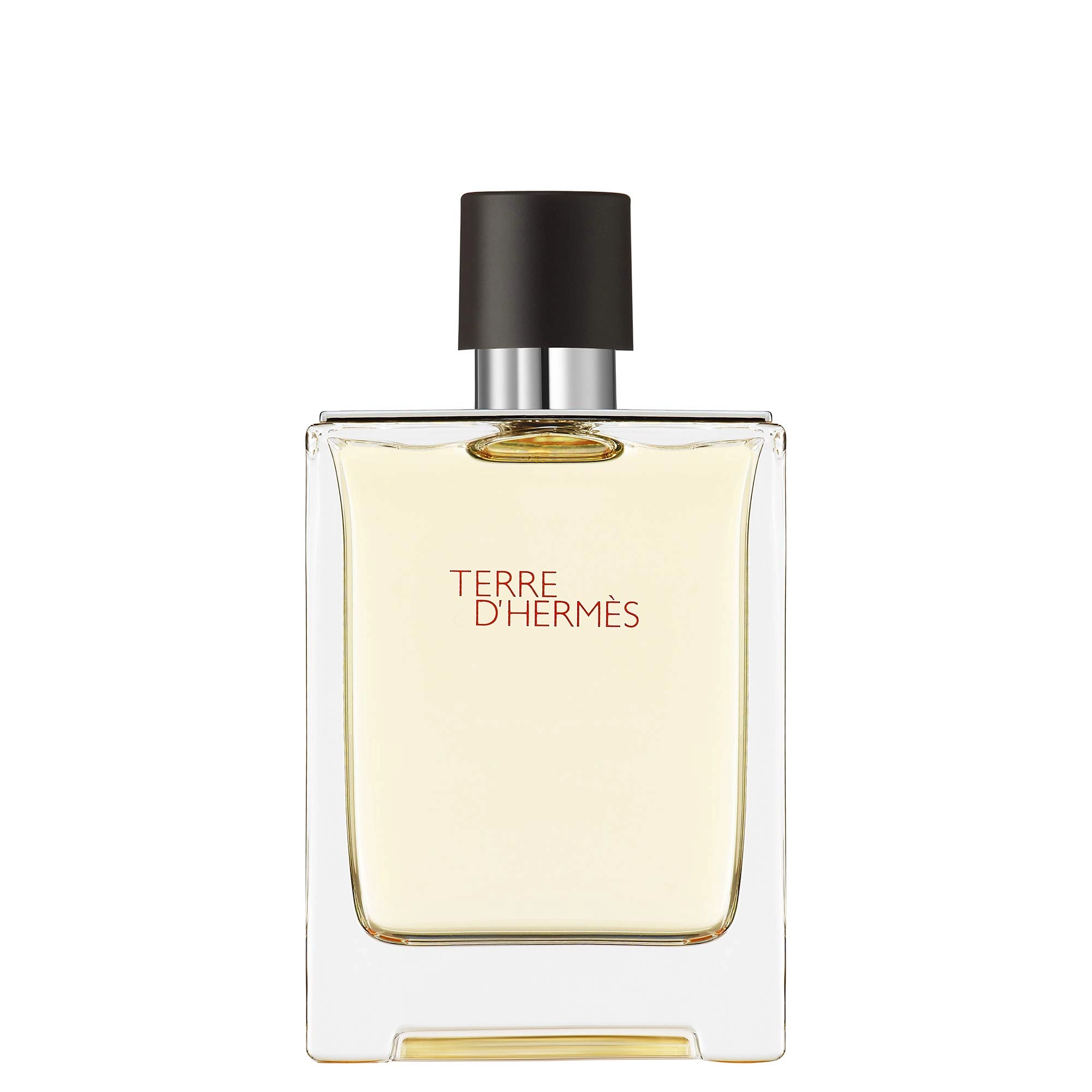 Terre D' Hermes Eau de Toilette 100ml