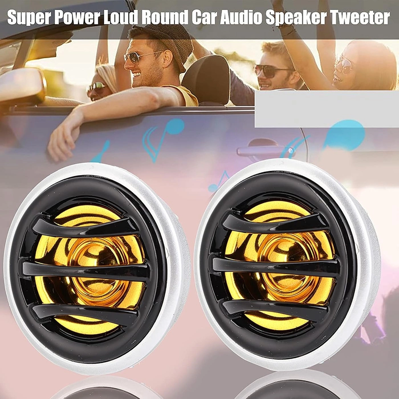 Car Audio Speaker