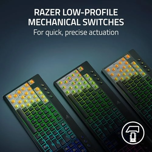 BlackWidow V4 TKL - Wireless