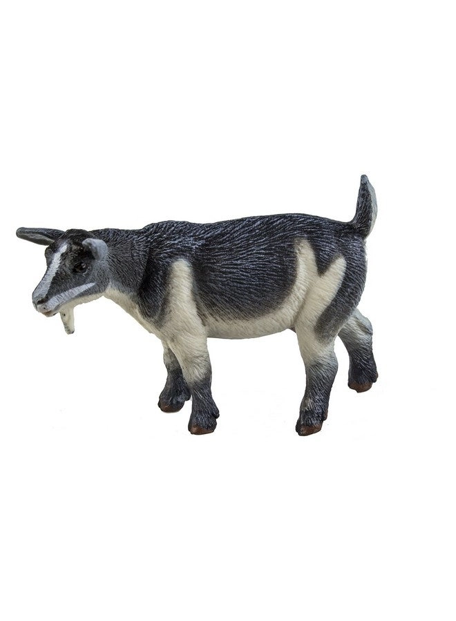 Safari Farm - Pygmy Nanny Goat