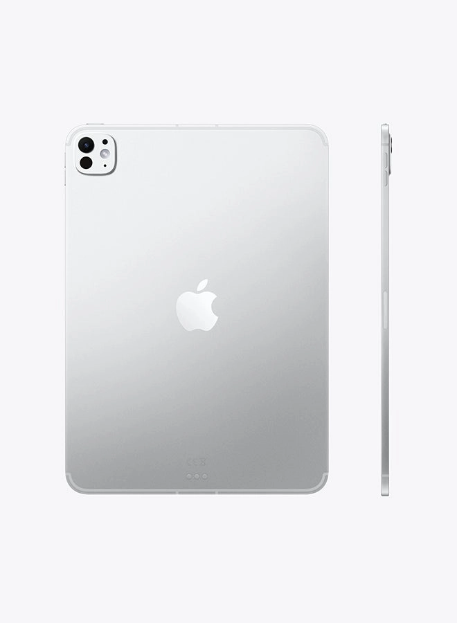 iPad Pro M5 (2025) - 256GB 11"