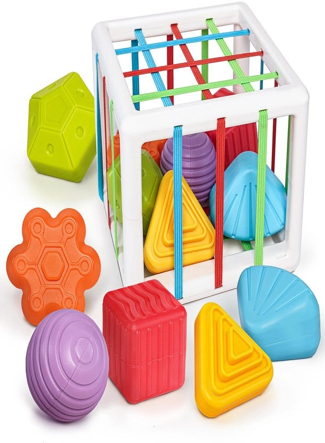LiKee Shape Sorter - 1+ Years Old