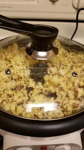 Roaster - 400 Grams Thermostat Timer