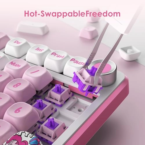 Wireless Mechanical Keyboard - Wireless