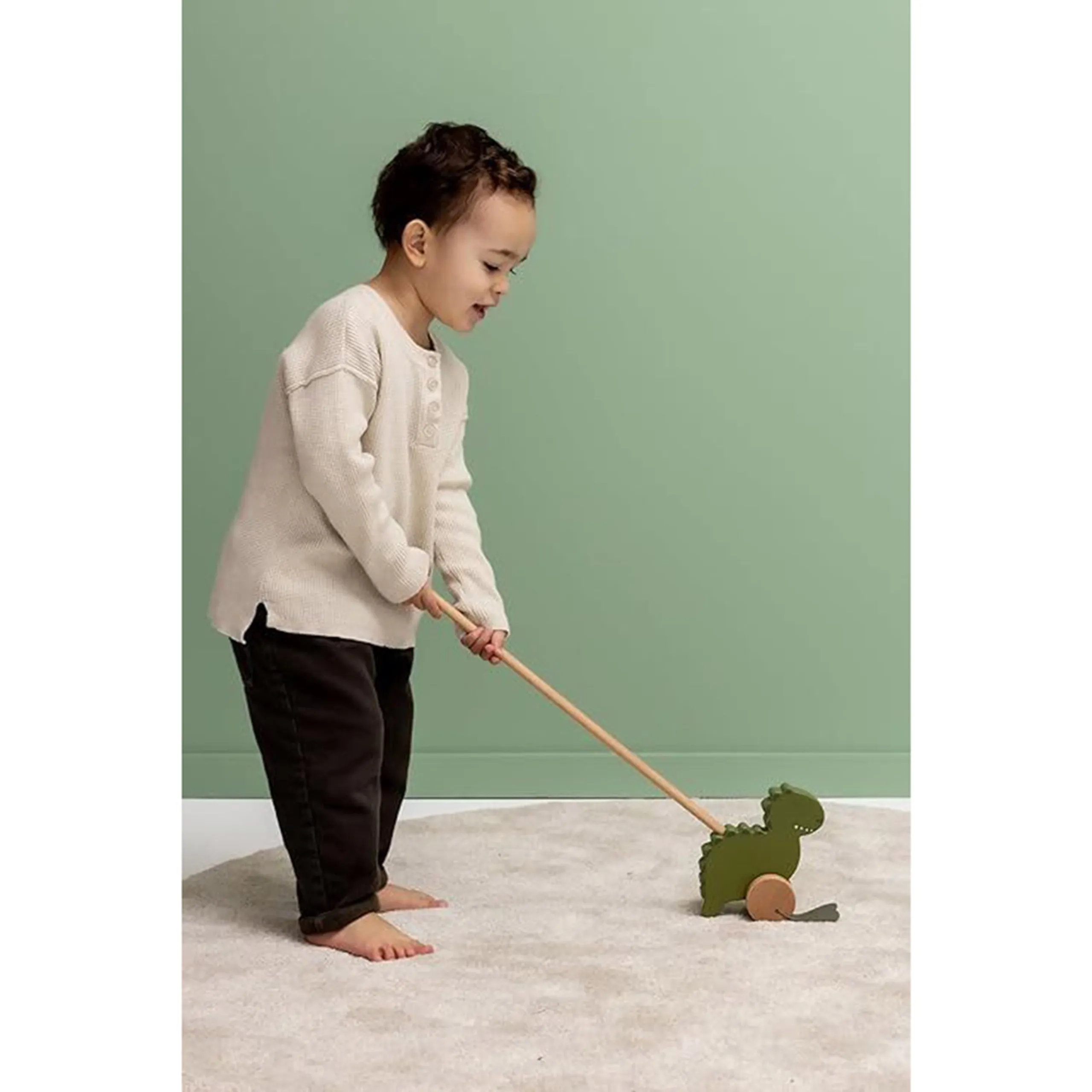 Wooden Push Along Toy - Mr. Dino