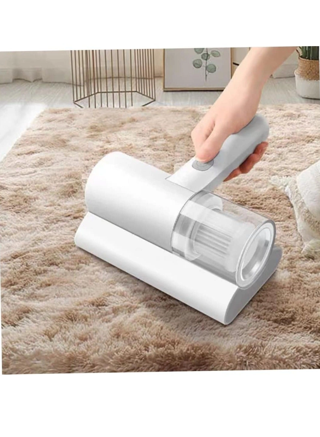 Dust Mite Cleaner