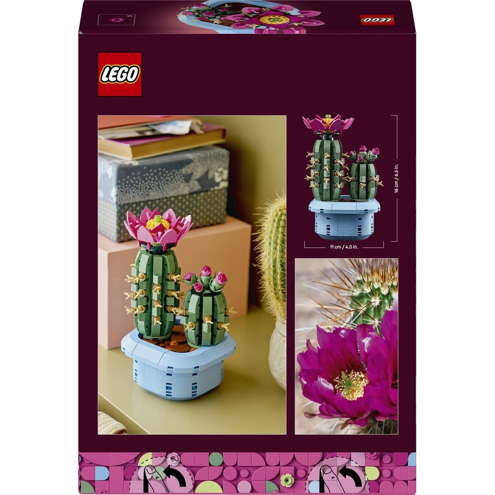 Flowering Cactus (11509)