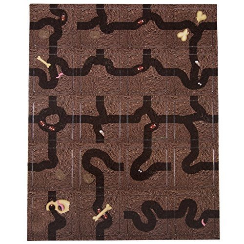 Ant Colony - 5 and up 1 pieces